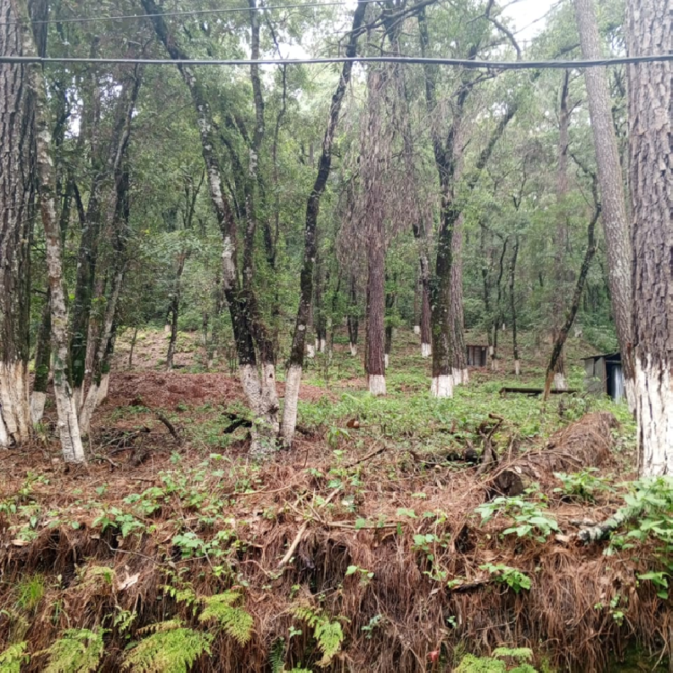 Venta de Terreno en Labor de Castilla, Mixco.