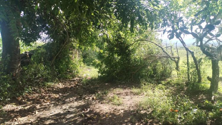 Vendo Terreno para Lotificacion S. Pedro Pinula, Jalapa