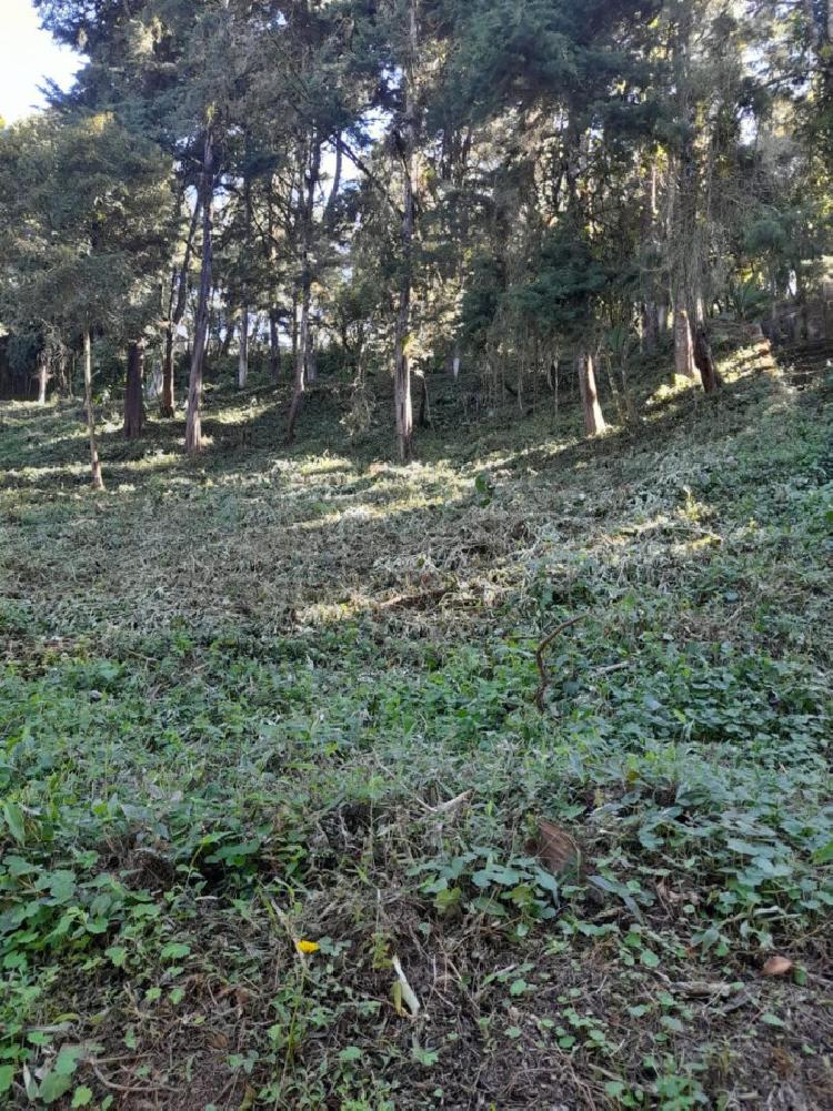 Terreno en Venta La Hondonada Santa Catarina Pinula