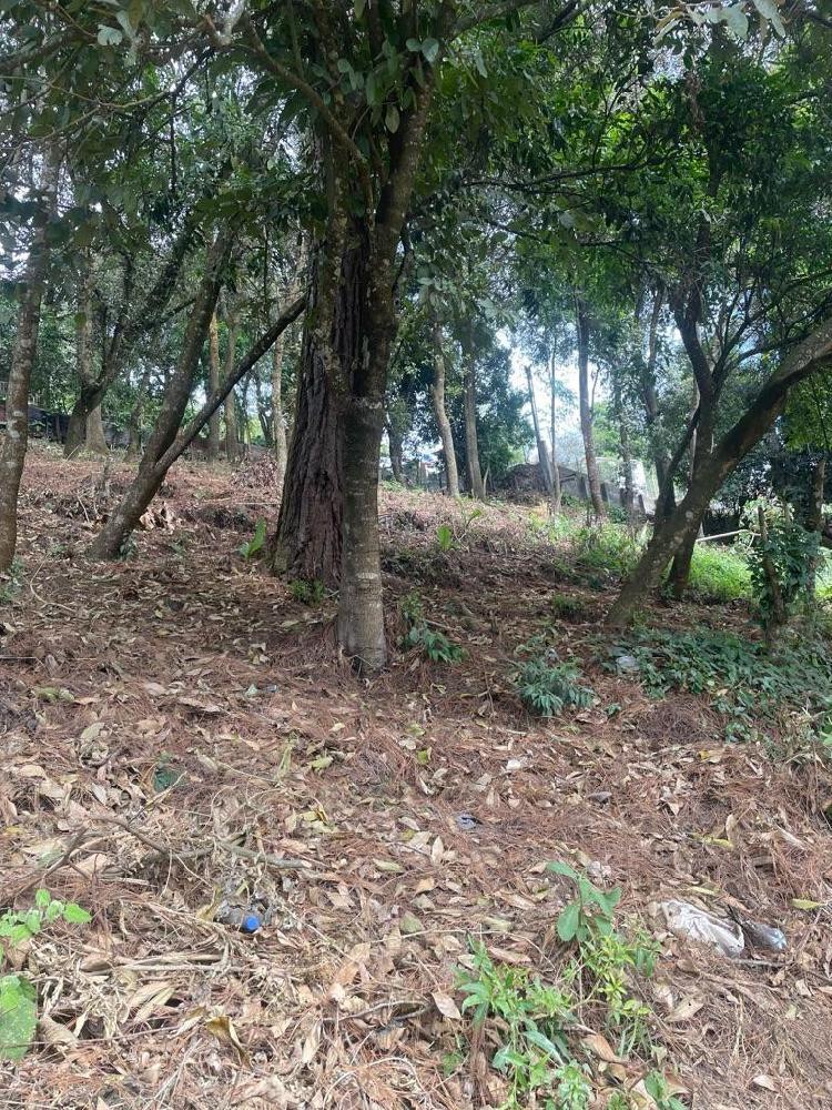 Terreno en Venta en el Choacorral Sacatepéquez