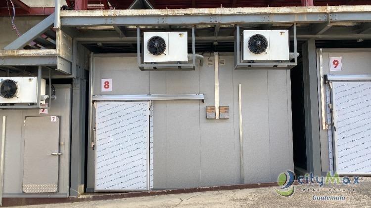 RENTA DE BODEGAS CONGELADAS Y REFRIGERADOS COMERCIALES 