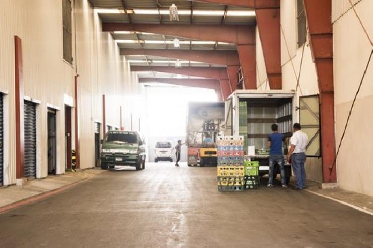 Alquiler de Bodega en Zona 11 Guatemala