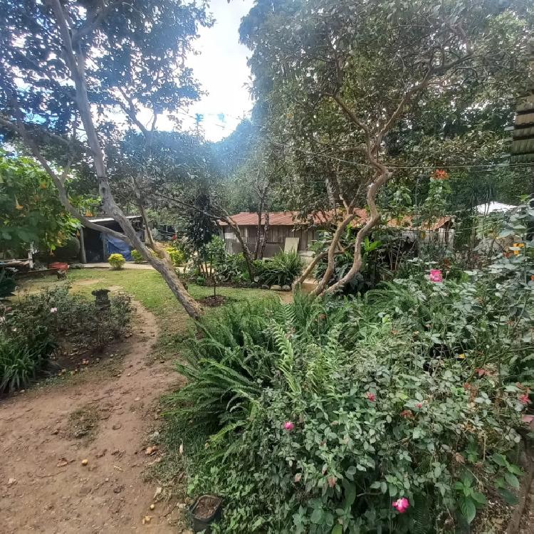 Terreno comercial en Alquiler Km. 24 CAES 
