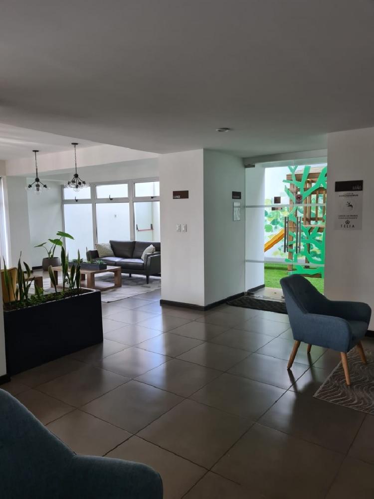 Apartamento en renta en Zona 15 Excelente Ubicación!!