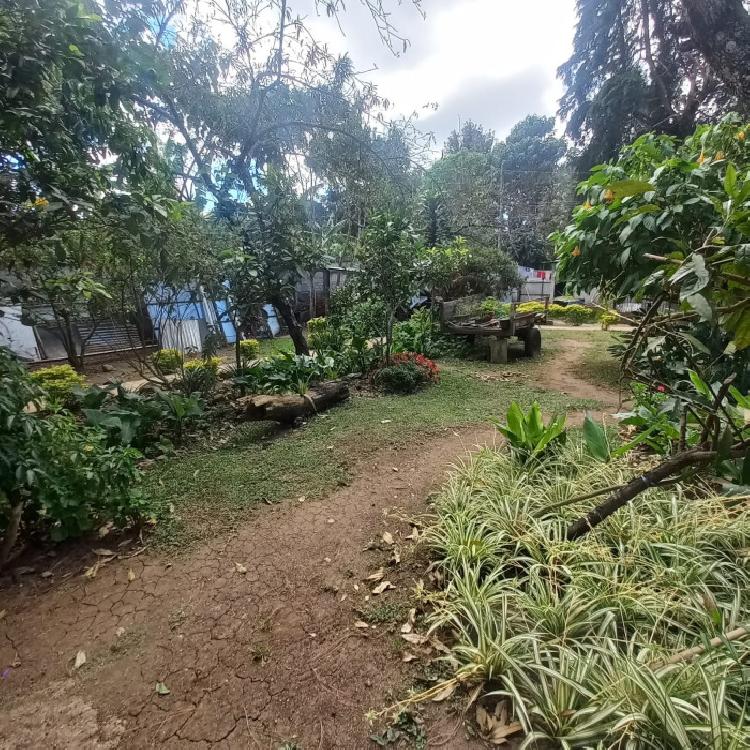 Terreno comercial en Alquiler Km. 24 CAES 