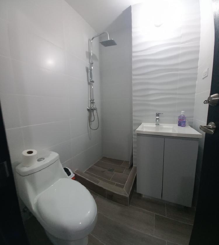 Apartamento Amueblado en renta Viro zona 11