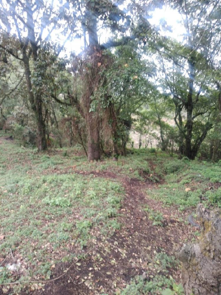 ALQUILO TERRENO PARA TORRE DE TELEFONIA O GASOLINERA