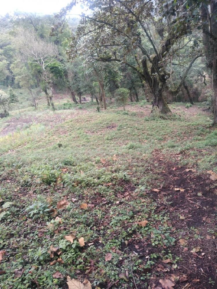 ALQUILO TERRENO PARA TORRE DE TELEFONIA O GASOLINERA