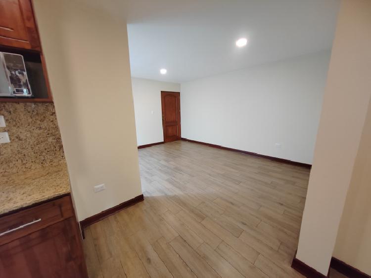 Apartamento en alquiler en zona 15 Vista Hermosa 1