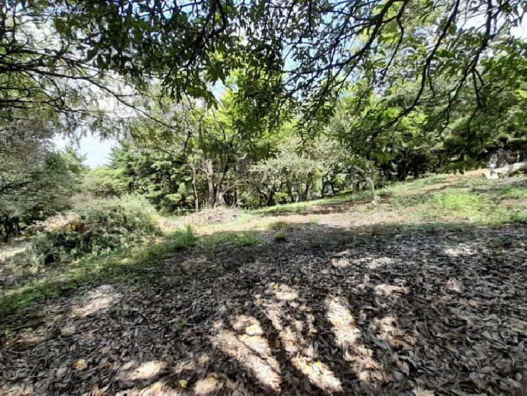Terreno residencial en venta en Santa Catarina Pinula 