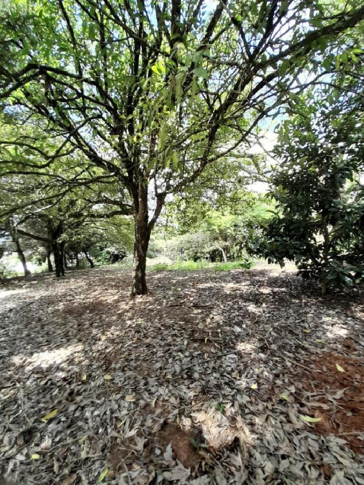 Terreno residencial en venta en Santa Catarina Pinula 