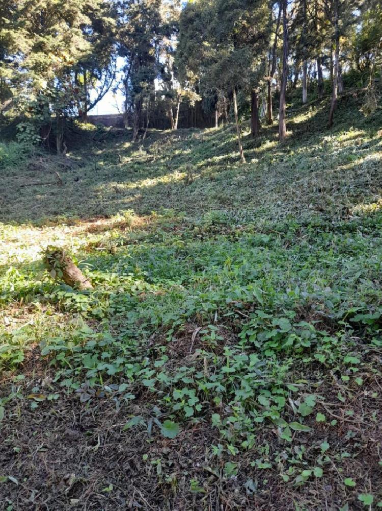 Terreno en Venta La Hondonada Santa Catarina Pinula