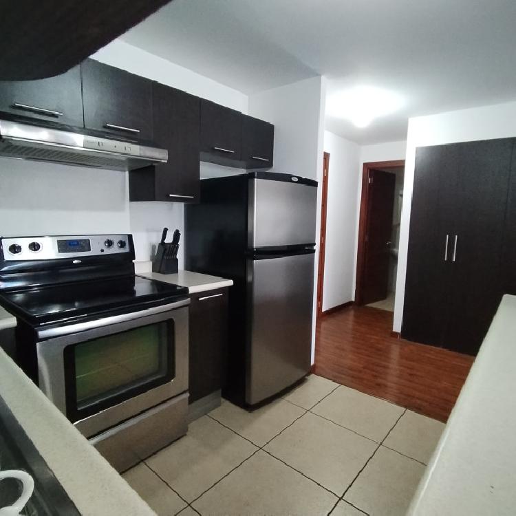 Apartamento amueblado en renta zona 10 Ciudad Vieja