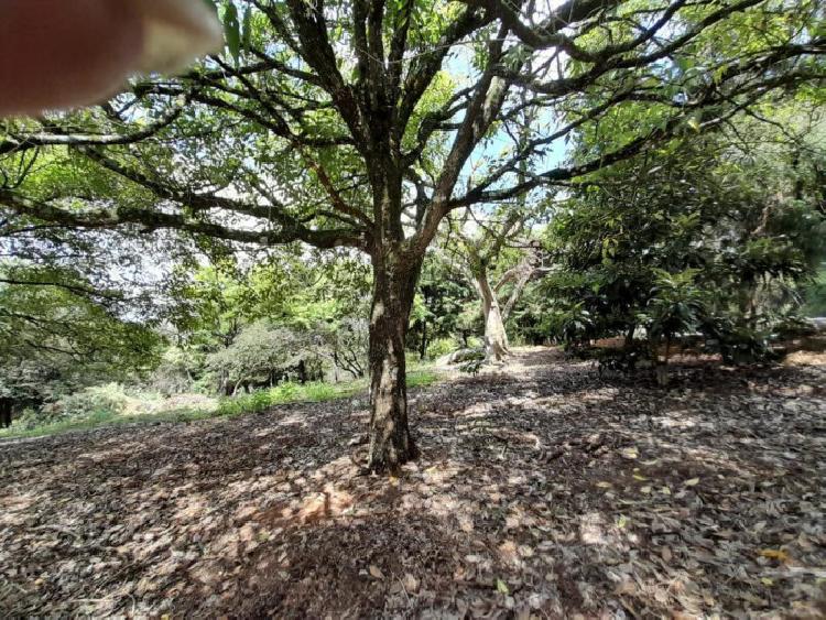 Terreno residencial en venta en Santa Catarina Pinula 