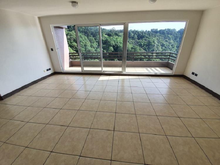 Apartamento en Renta Zona  16